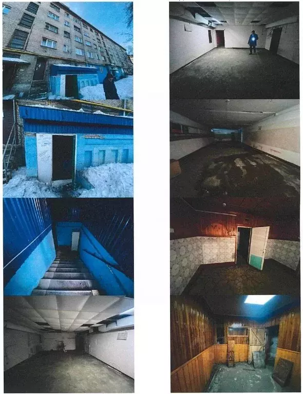 Помещение свободного назначения в Алтайский край, Барнаул просп. ... - Фото 1