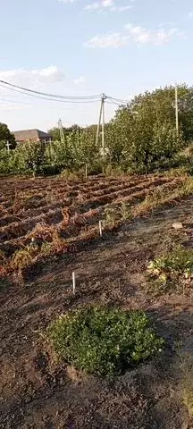 Участок 7,2 сот. (ИЖС) - Фото 0
