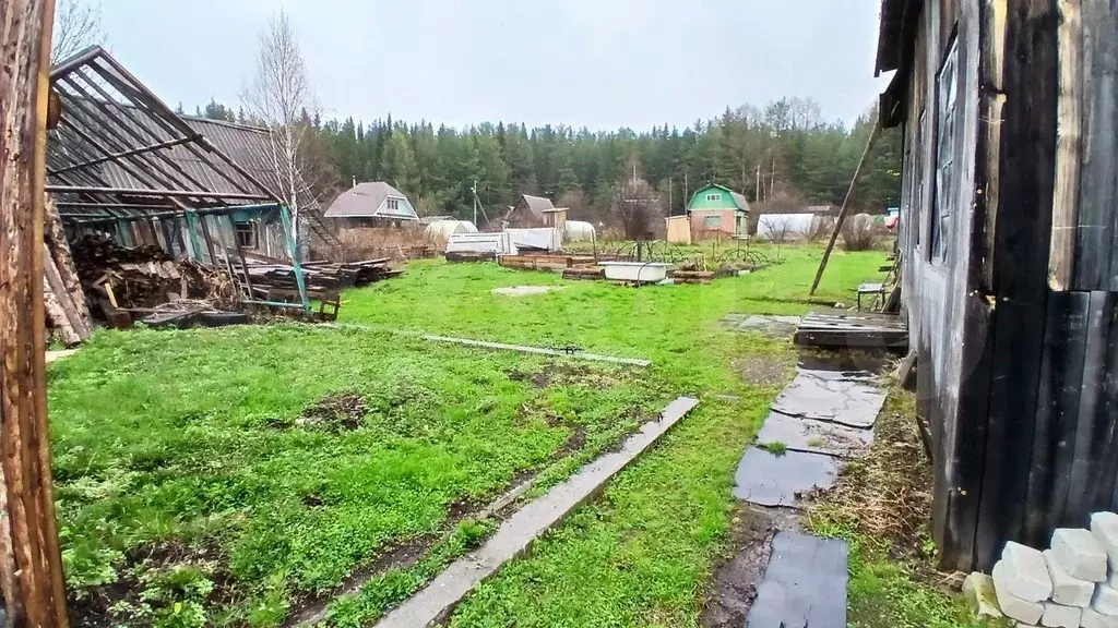 Участок 9 сот. (СНТ, ДНП) - Фото 1