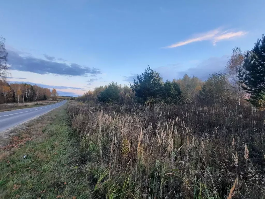 Участок в Калужская область, Тарусский район, Новая земля кп  (12.0 ... - Фото 2