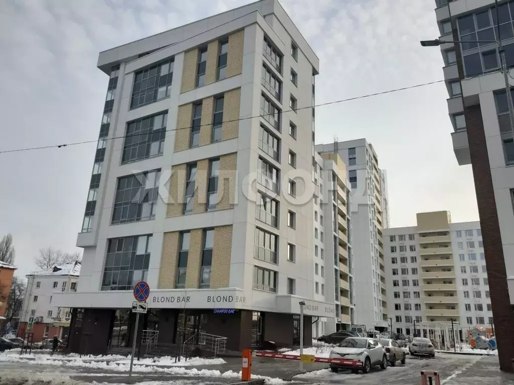 Студия Белгородская область, Белгород ул. Попова, 31 (31.0 м) - Фото 1