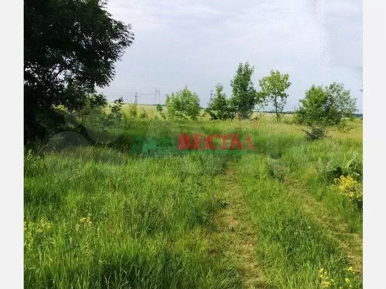Участок 10 сот. (ИЖС) - Фото 0