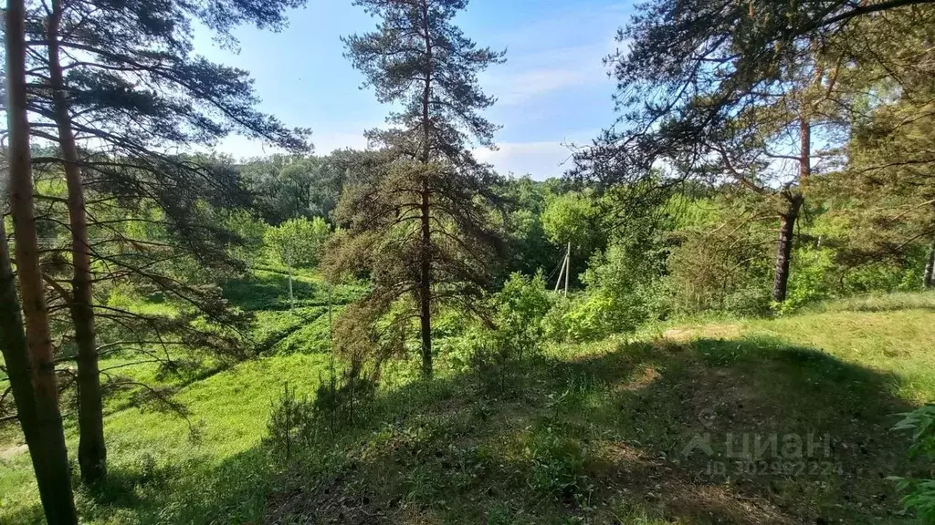 Участок в Московская область, Истра городской округ, д. Лешково 19 ... - Фото 1