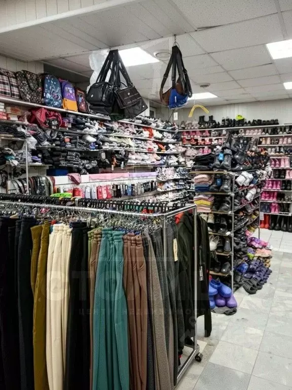 Торговая площадь в Свердловская область, Екатеринбург ул. Грибоедова, ... - Фото 1