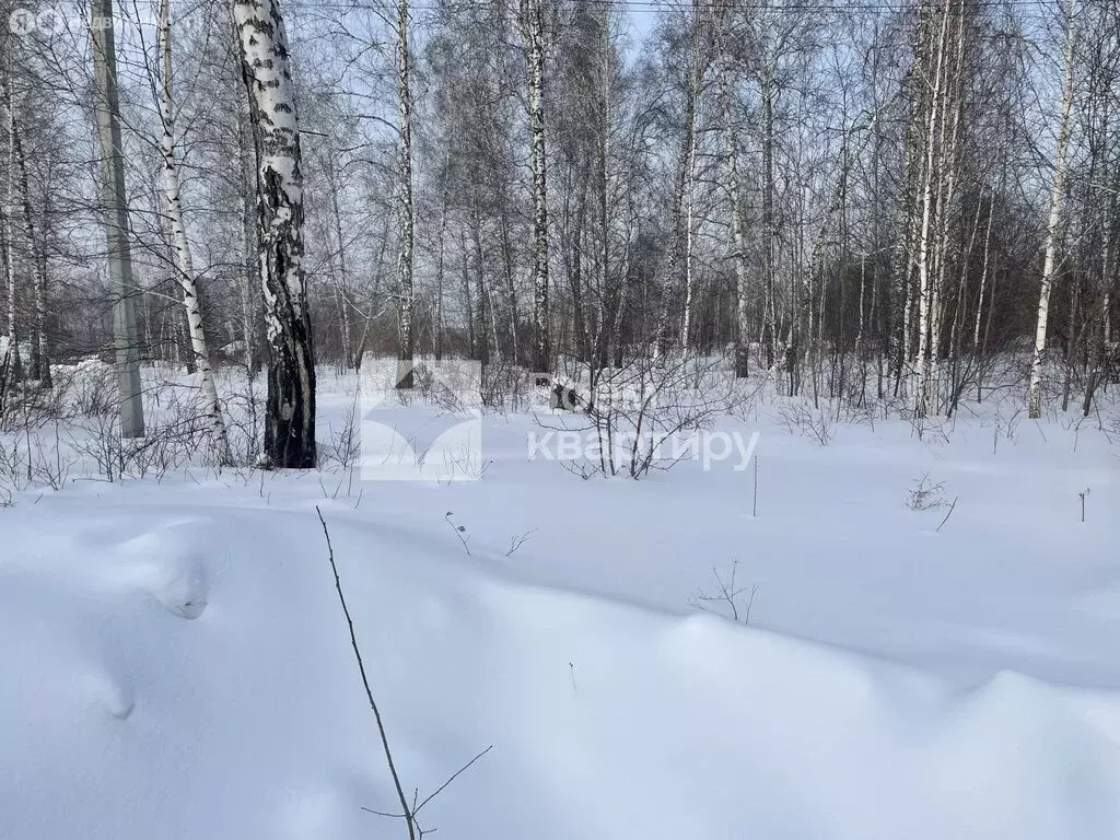 Участок в Новосибирск, 1-й Биатлонный переулок (41 м) - Фото 0