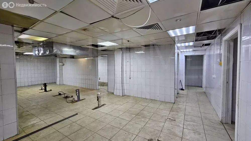 Помещение свободного назначения (514.7 м) - Фото 1