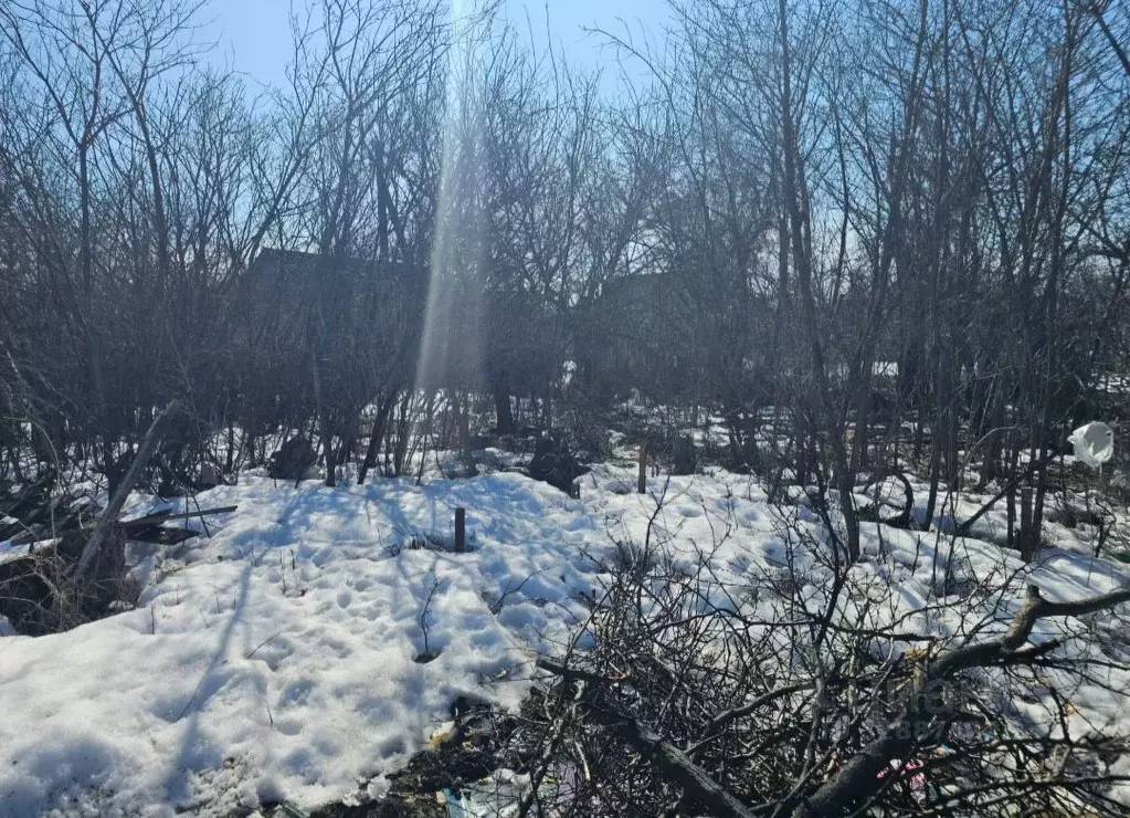 Участок в Саратовская область, Саратов Ручеек-65 СНТ,  (5.3 сот.) - Фото 2