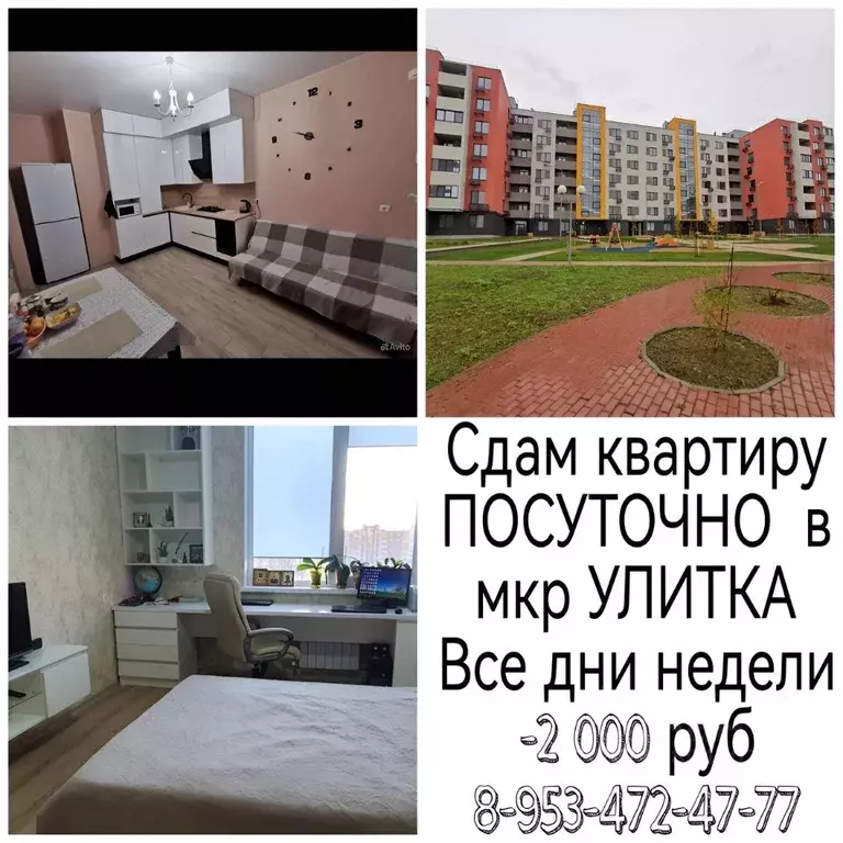 1-к кв. Белгородская область, Белгородский район, Дубовское с/пос, ... - Фото 1