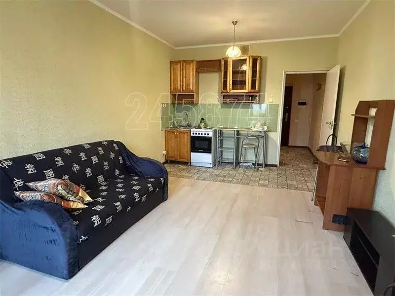 Студия Московская область, Балашиха ул. Троицкая, 5 (30.5 м) - Фото 1