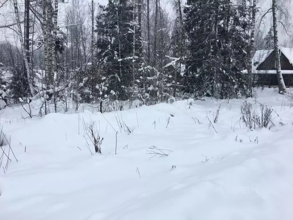 Участок в Московская область, Пушкинский городской округ, д. Могильцы ... - Фото 1