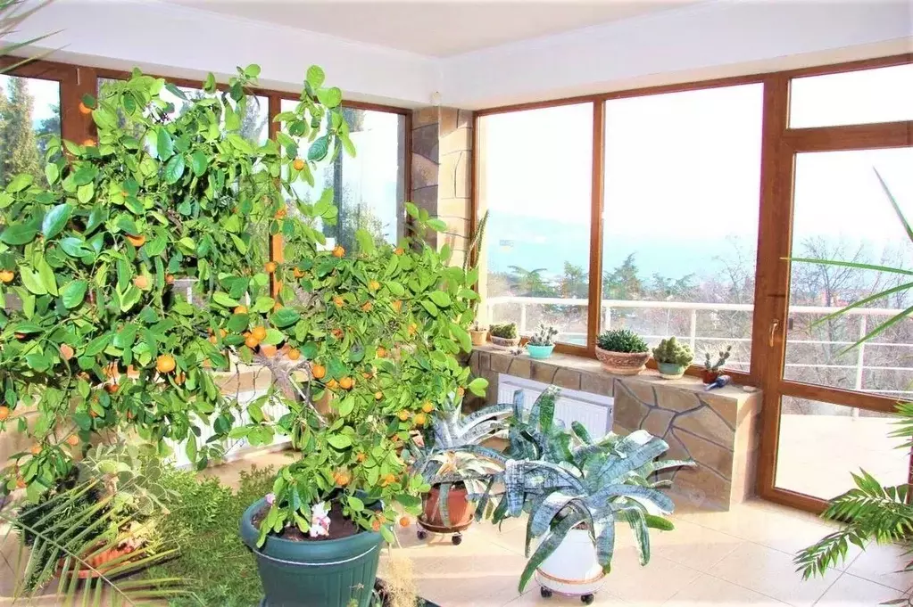 Дом в Крым, Ялта муниципальный округ, Ливадия пгт ш. Севастопольское, ... - Фото 1