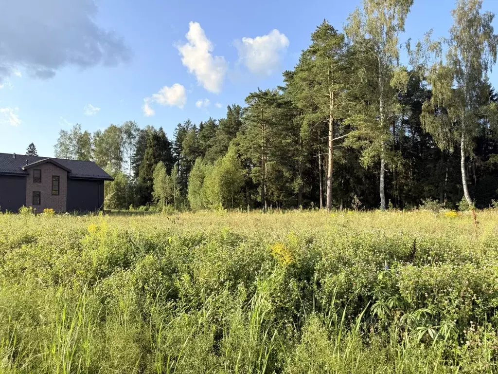 Участок в Московская область, Одинцовский городской округ, д. Супонево ... - Фото 1