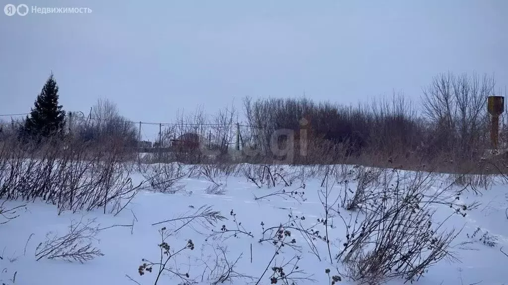 Участок в село Сорочьи Горы, улица Садовая-2 (28 м) - Фото 2