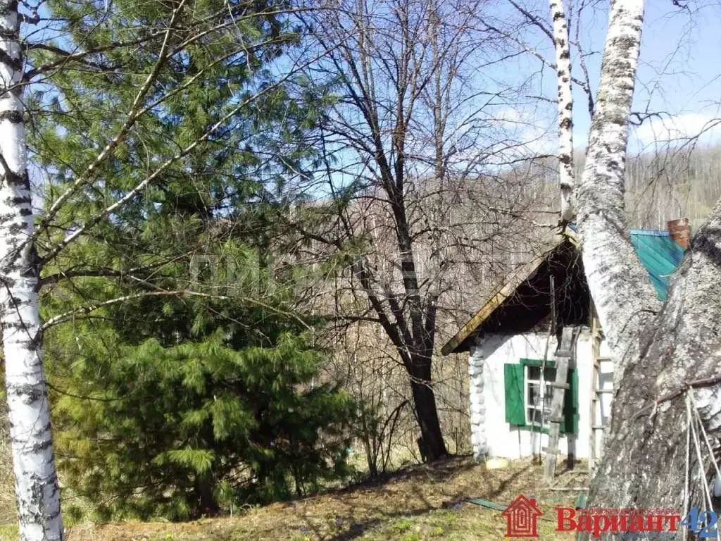 Дом в Кемеровская область, Калтанский городской округ, с. Сарбала ул. ... - Фото 0