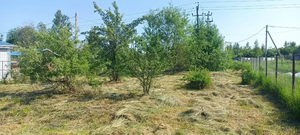 Кадастровый план снт одуванчик великий новгород