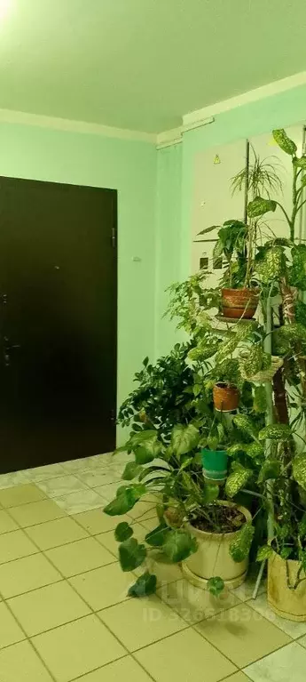 2-к кв. Московская область, Балашиха Заря мкр, ул. Молодежная, 17 ... - Фото 2