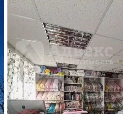 Офис в Тюменская область, Тюмень ул. Газовиков, 2 (76 м) - Фото 2