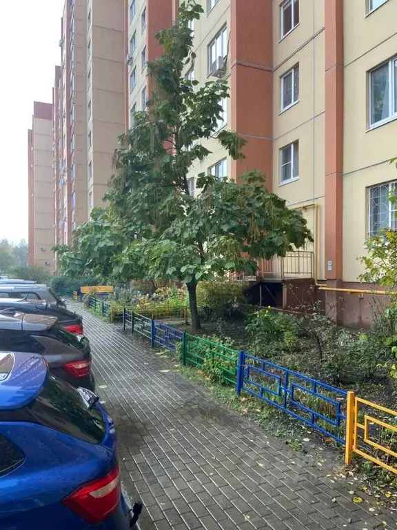 3-к кв. Воронежская область, Воронеж ул. 9 Января, 233/32 (70.0 м) - Фото 2