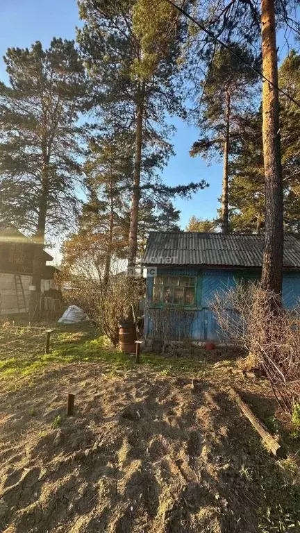 Дом в Иркутская область, Шелехов Металлург СНТ,  (10 м) - Фото 1