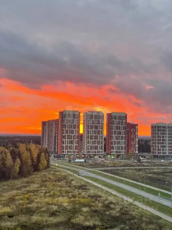 1-к кв. Калужская область, Обнинск ул. Гагарина, 71 (37.3 м) - Фото 1