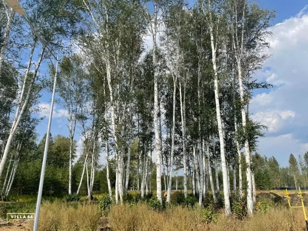 Участок в Свердловская область, Сысертский городской округ, пос. ... - Фото 0