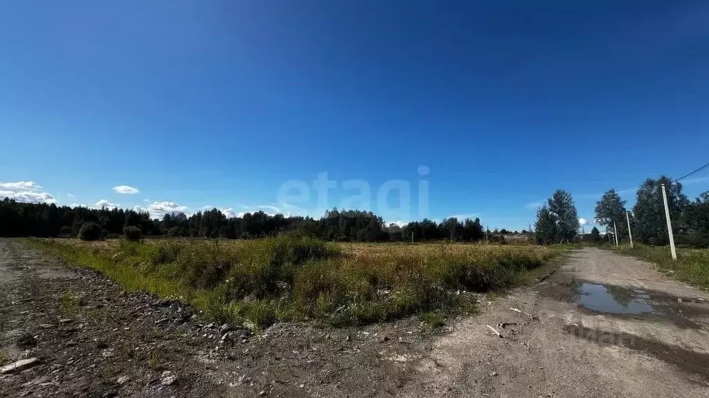 Участок в Ленинградская область, Всеволожский район, Имени Морозова ... - Фото 0