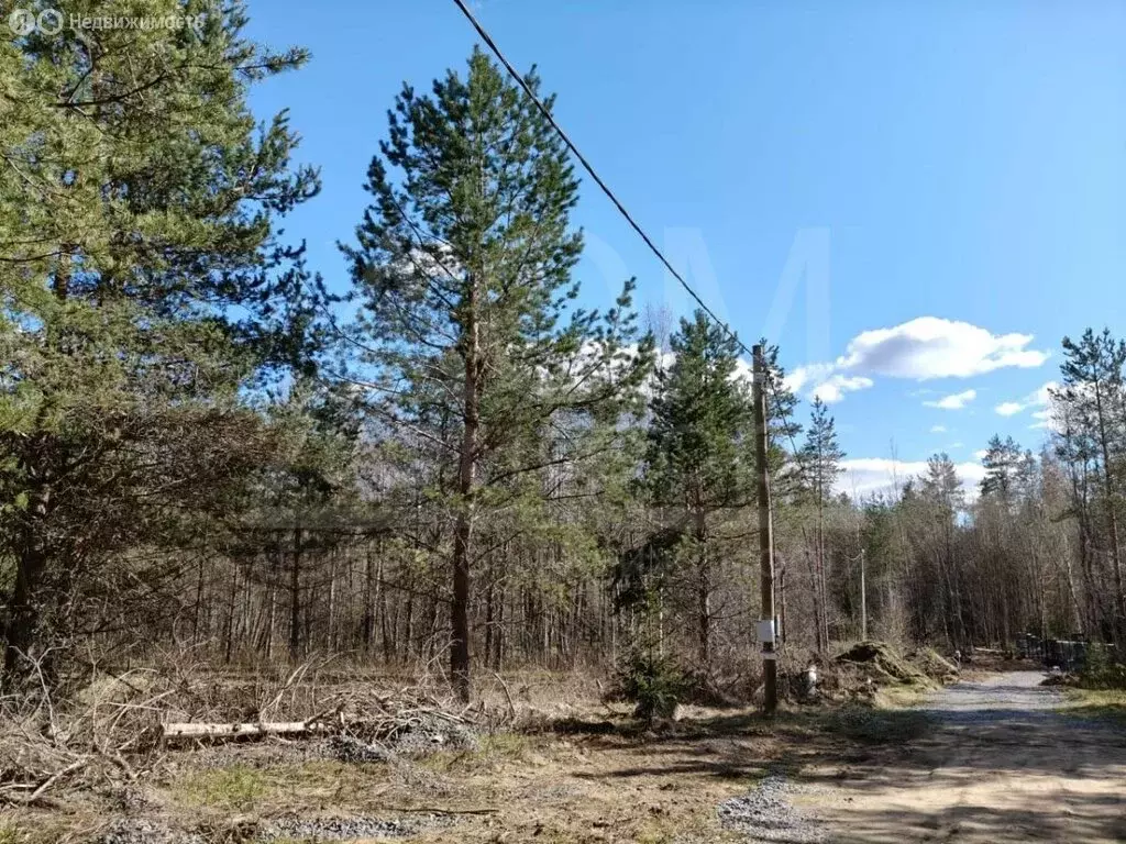 Участок в деревня Васильево, Ольховая улица (30 м) - Фото 0