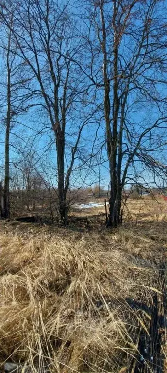 Участок в Нижегородская область, Володарский муниципальный округ, д. ... - Фото 1