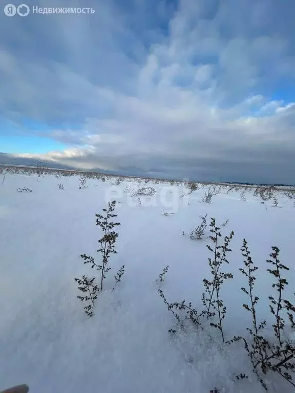 Участок в Эхирит-Булагатский район, автодорога Иркутск - Качуг, 71-й ... - Фото 0