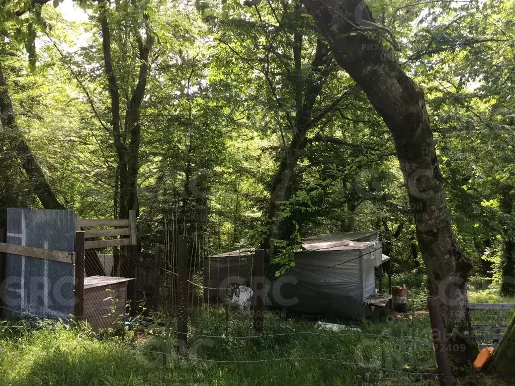 Участок в Краснодарский край, Сочи Надежда-2 СТ,  (7.0 сот.) - Фото 0