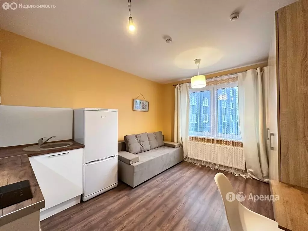 Квартира-студия: Санкт-Петербург, Муринская дорога, 31к2 (20 м) - Фото 1