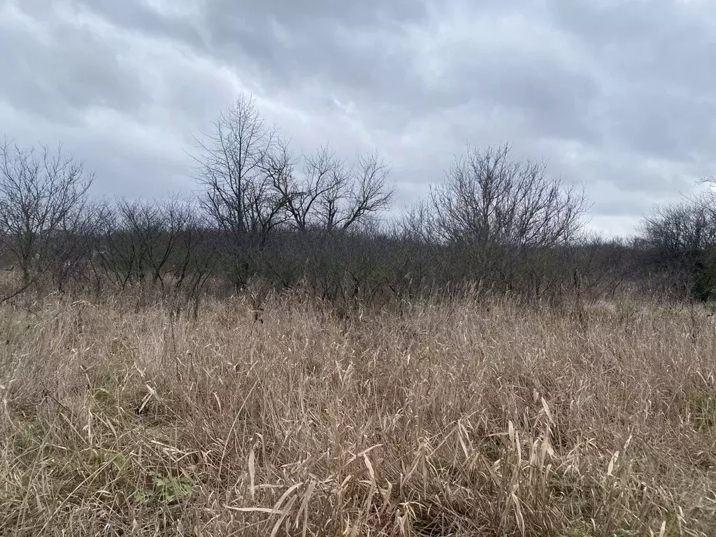 Участок в Ставропольский край, Шпаковский муниципальный округ, Демино ... - Фото 2