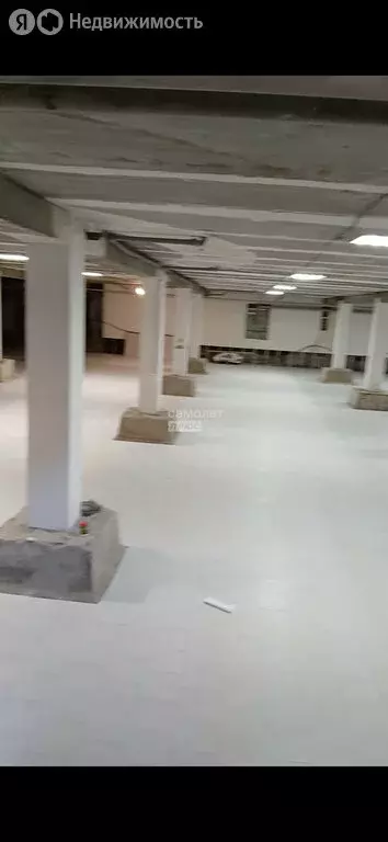Помещение свободного назначения (909 м) - Фото 1