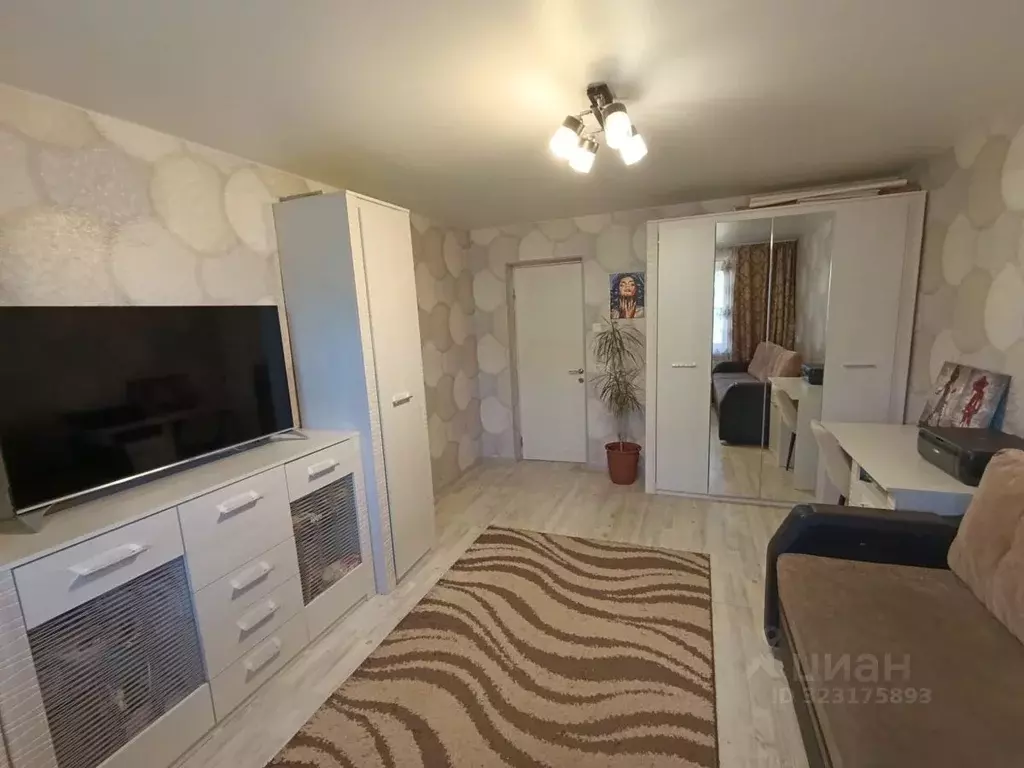 3-к кв. Псковская область, Остров ул. Шумейко, 2 (63.0 м) - Фото 2