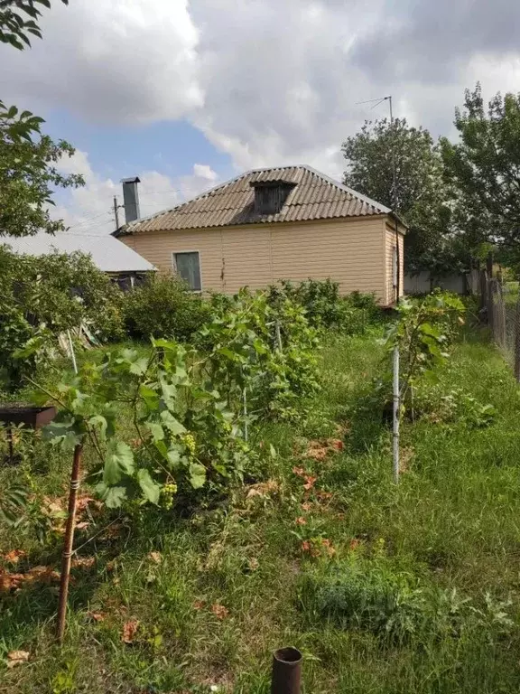 Дом в Воронежская область, Каширский район, Дзержинское с/пос, пос. ... - Фото 2