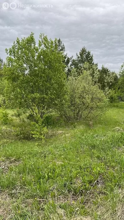 Участок в Лямбирский район, село Саловка, Лесная улица (15 м) - Фото 0