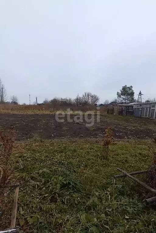 Участок в Новосибирская область, Мошковский район, с. Сокур ул. ... - Фото 1