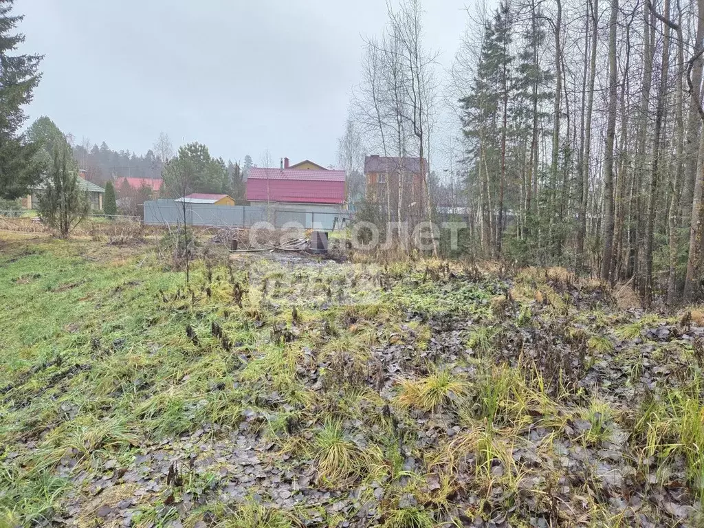 Участок в Марий Эл, Медведевский район, Сидоровское с/пос, д. ... - Фото 1