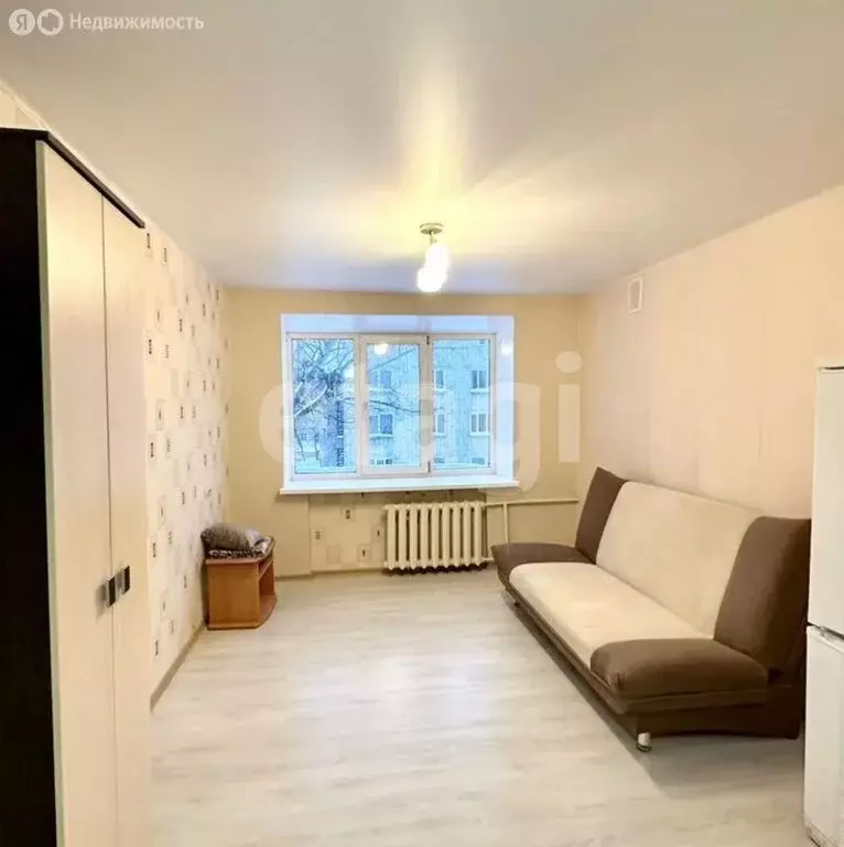 Квартира-студия: Пермь, Серебрянский проезд, 17 (18.1 м) - Фото 2