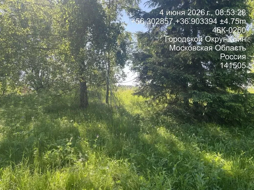 Участок в Московская область, Клин городской округ, д. Залесье  (15.0 ... - Фото 1