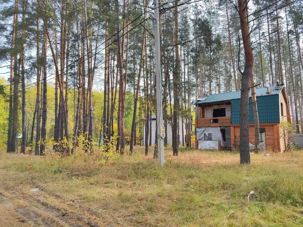 Участок в Воронежская область, Рамонский район, Айдаровское с/пос, с. ... - Фото 1