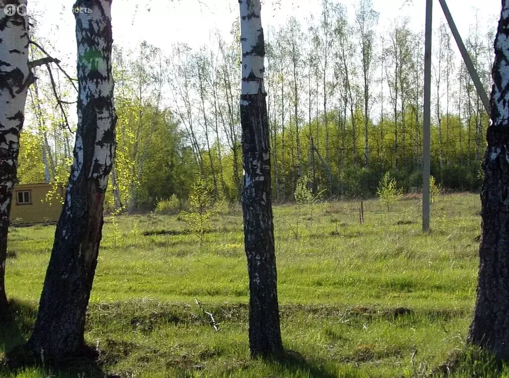 Участок в Московская область, городской округ Ступино, село ... - Фото 1