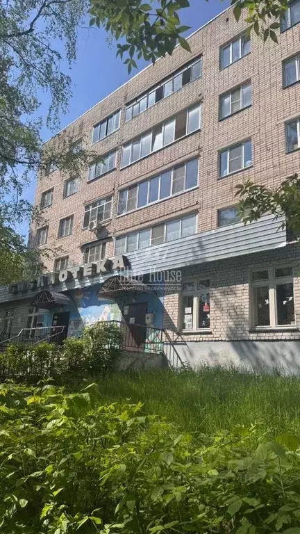 1-к кв. Калужская область, Калуга ул. Никитина, 81 (32.0 м) - Фото 0