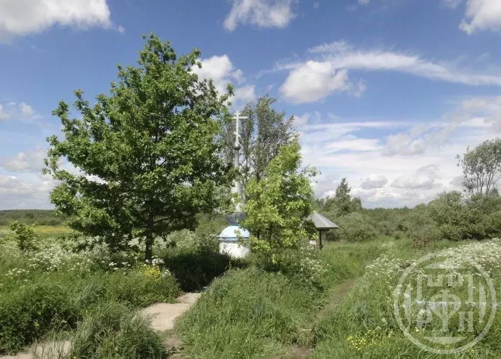 Участок в Московская область, Шатура муниципальный округ, с. Пустоша  ... - Фото 1