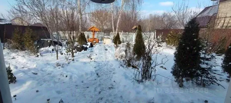 Участок в Воронежская область, Новоусманский район, с. Бабяково ... - Фото 1