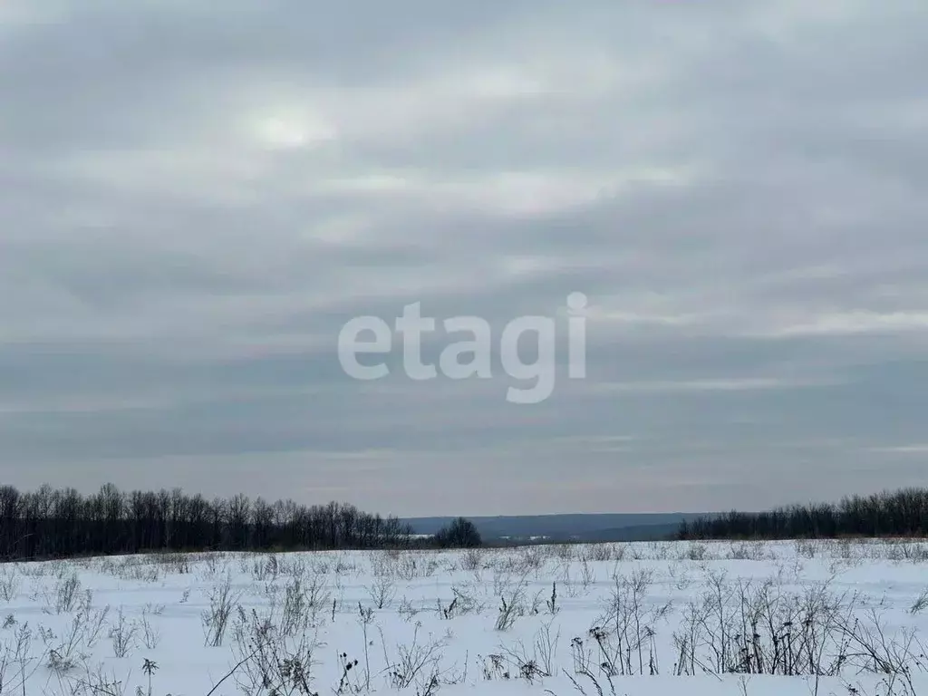 Участок в Тульская область, Дубенский район, Протасовское ... - Фото 0