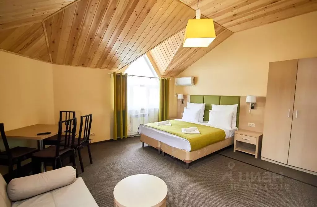 Студия Краснодарский край, Сочи Курортный просп., 111/5к10 (28.0 м) - Фото 1