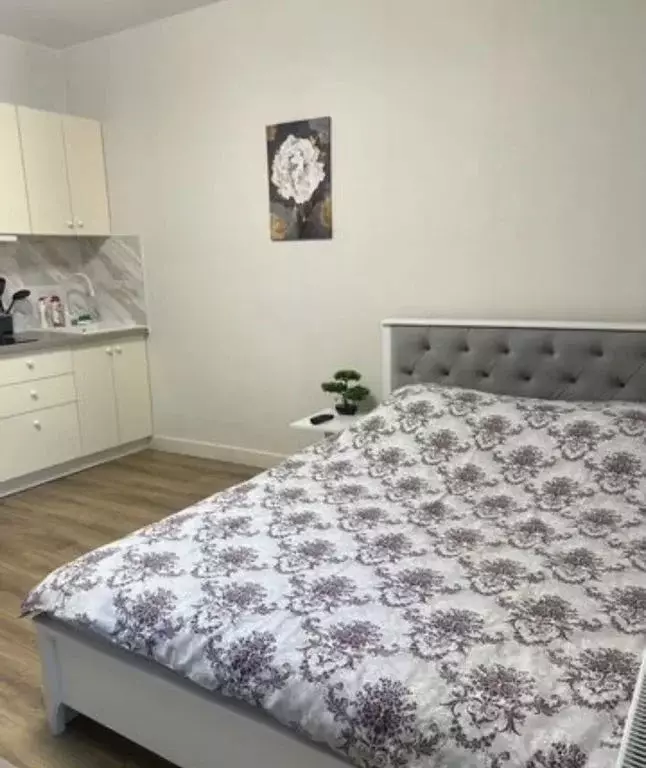 Студия Краснодарский край, Новороссийск ул. Котанова, 4 (23.0 м) - Фото 1