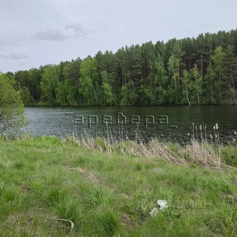 Дом в Красноярский край, Емельяновский район, Никольский сельсовет, д. ... - Фото 1