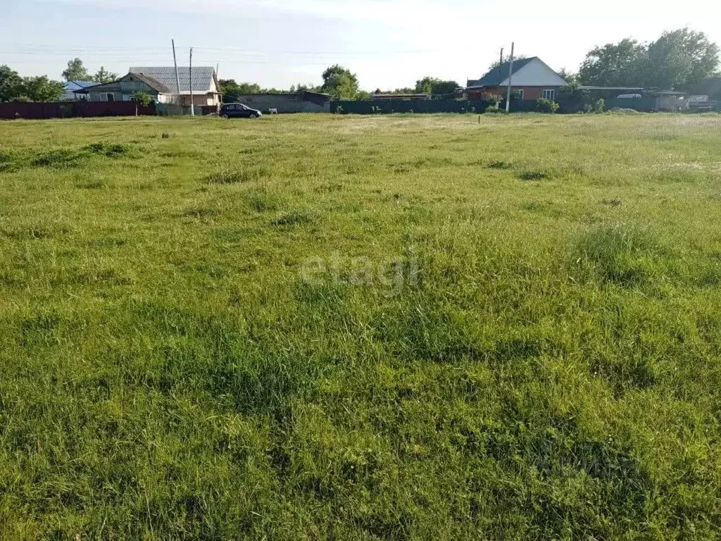 Участок в Краснодарский край, Белореченский район, Великовечненское ... - Фото 1